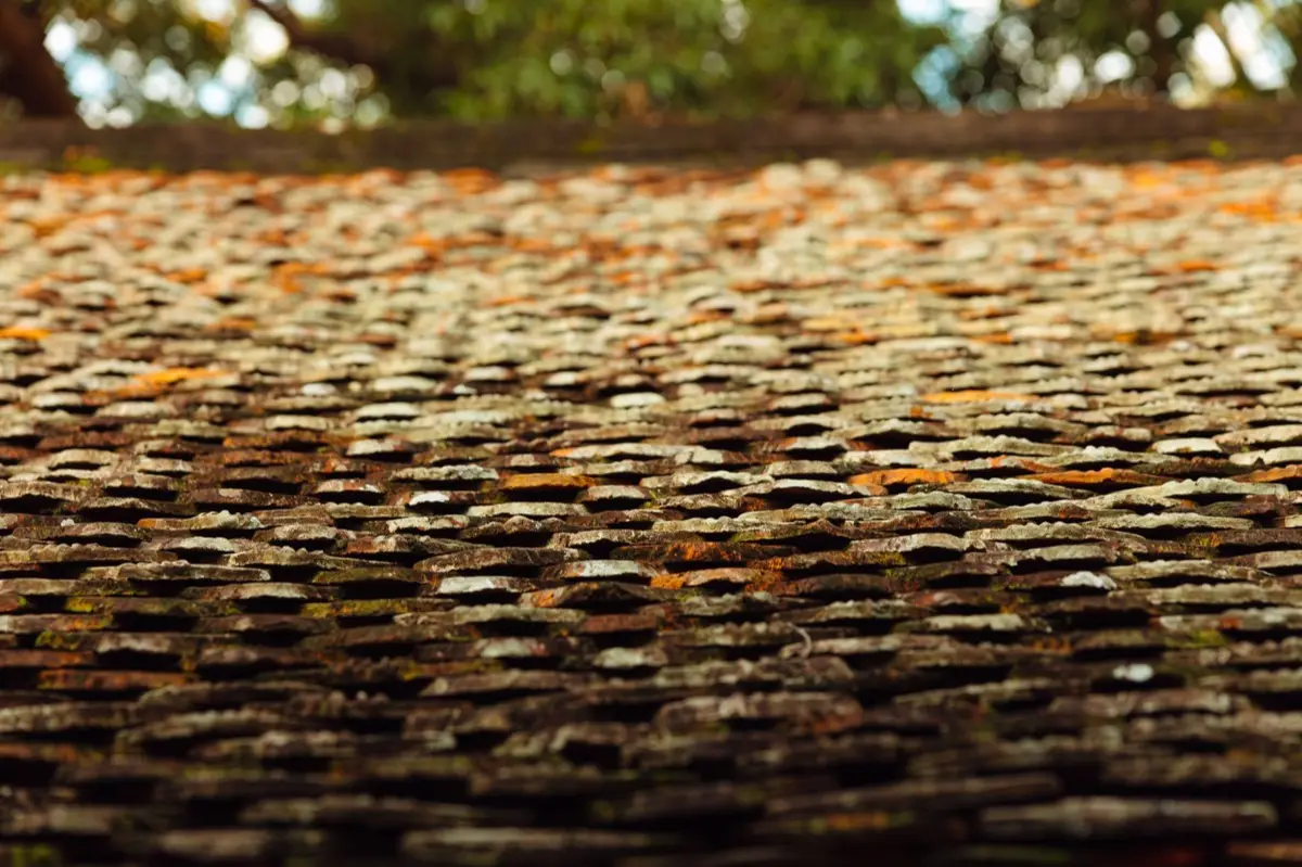 Moss growing on an aging asphalt shingle roof in Roseville, CA